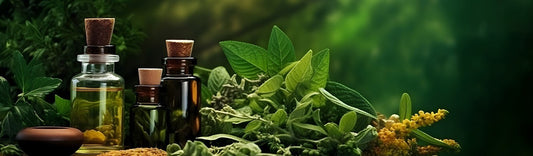 Natural Ingredients: The Key to Healthy & Glowing Skin
